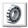 7.087 Inch | 180 Millimeter x 12.598 Inch | 320 Millimeter x 4.25 Inch | 107.95 Millimeter  TIMKEN A-5236-WS R6  Cylindrical Roller Bearings