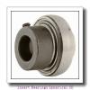 INA GY1207-KRR-B-AS2/V-FA106  Insert Bearings Spherical OD #1 small image
