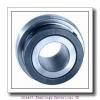 INA BE40-XL  Insert Bearings Spherical OD #1 small image