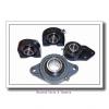 DODGE FC-GT-111-ABHS  Mounted Units & Inserts