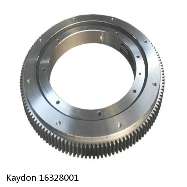 16328001 Kaydon Slewing Ring Bearings #1 small image