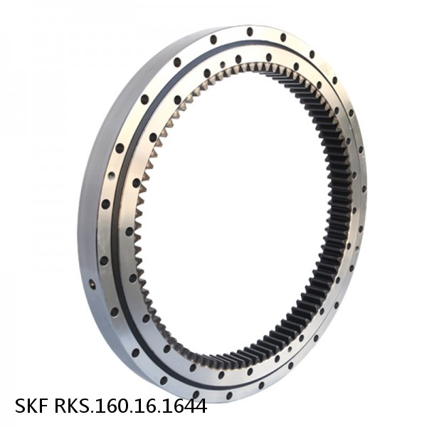 RKS.160.16.1644 SKF Slewing Ring Bearings #1 small image