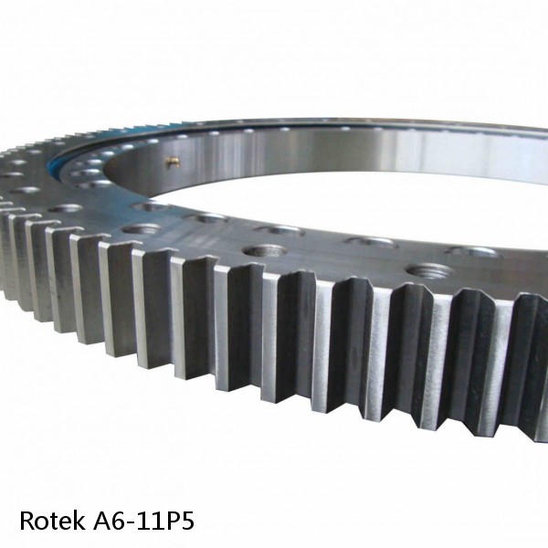 A6-11P5 Rotek Slewing Ring Bearings #1 small image