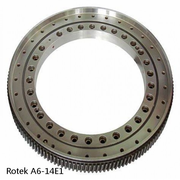 A6-14E1 Rotek Slewing Ring Bearings