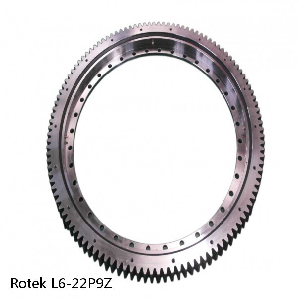 L6-22P9Z Rotek Slewing Ring Bearings #1 small image