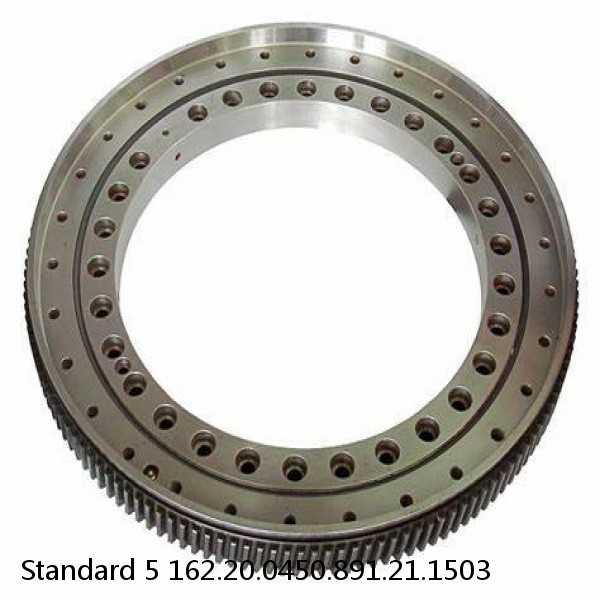 162.20.0450.891.21.1503 Standard 5 Slewing Ring Bearings #1 small image