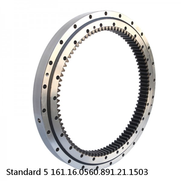 161.16.0560.891.21.1503 Standard 5 Slewing Ring Bearings #1 small image