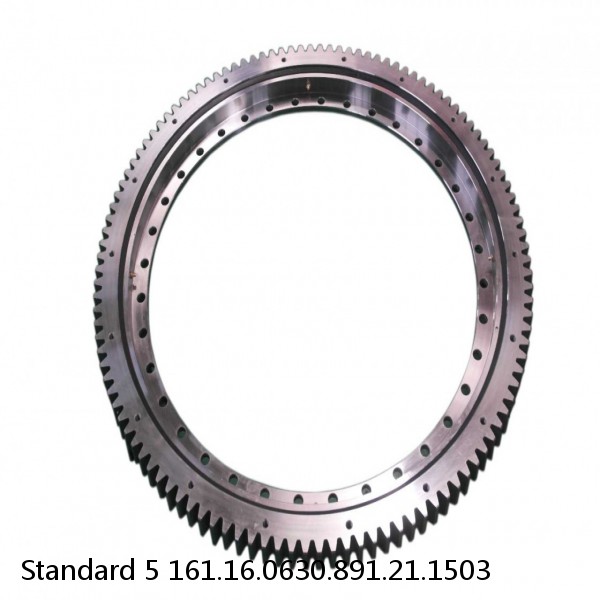 161.16.0630.891.21.1503 Standard 5 Slewing Ring Bearings #1 small image