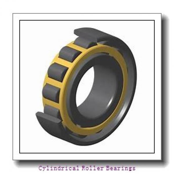 1.969 Inch | 50 Millimeter x 4.331 Inch | 110 Millimeter x 1.063 Inch | 27 Millimeter  LINK BELT MA1310EXC1222  Cylindrical Roller Bearings #1 image