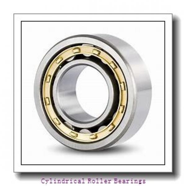 2.362 Inch | 60 Millimeter x 2.736 Inch | 69.499 Millimeter x 0.709 Inch | 18 Millimeter  LINK BELT MS1012W853  Cylindrical Roller Bearings #1 image