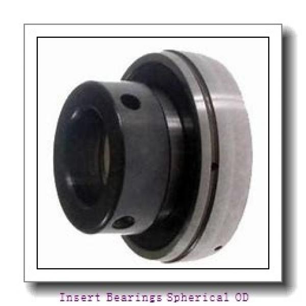 INA BE40-XL  Insert Bearings Spherical OD #2 image