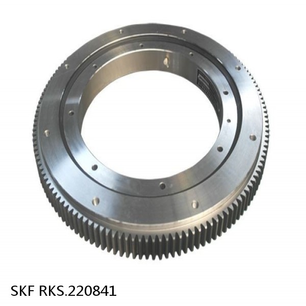 RKS.220841 SKF Slewing Ring Bearings #1 image