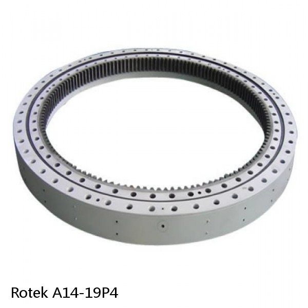 A14-19P4 Rotek Slewing Ring Bearings #1 image