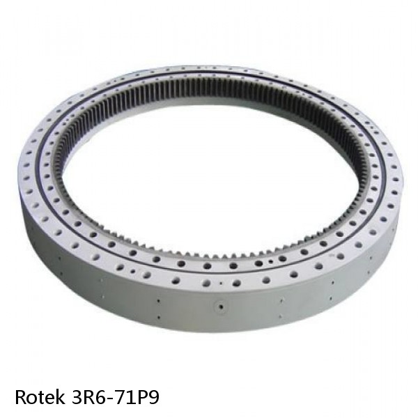 3R6-71P9 Rotek Slewing Ring Bearings #1 image